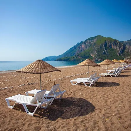 بنسيون وبنغلات باريز