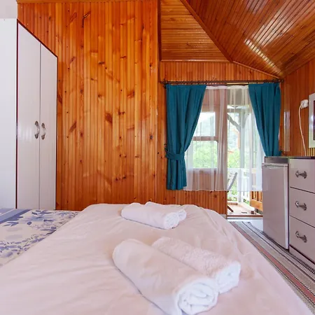 بنسيون وبنغلات باريز 2*