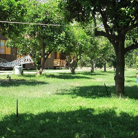 بنسيون وبنغلات باريز 2*