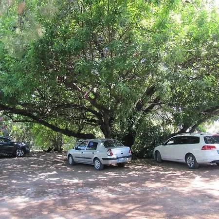 بنسيون وبنغلات باريز 2*