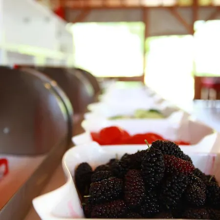 منتزه العطل بنسيون وبنغلات باريز 2*