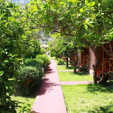 بنسيون وبنغلات باريز Çıralı