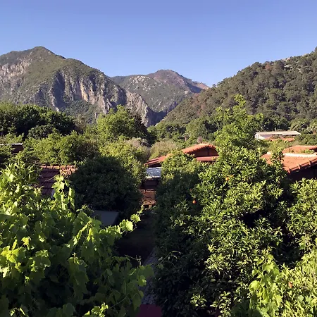 بنسيون وبنغلات باريز 2* Çıralı