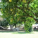 Baris & Çıralı
