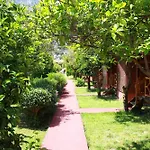 Baris & Çıralı