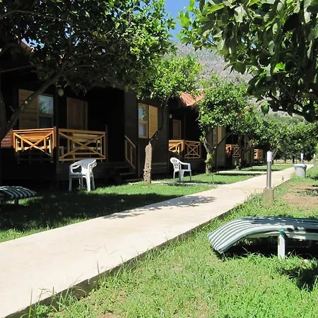 Baris & 2* Çıralı