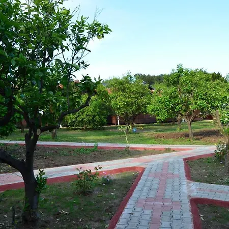 Baris & Prázdninový areál Çıralı