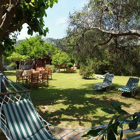 Baris & 2* Çıralı