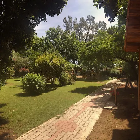 Baris & 2* Çıralı