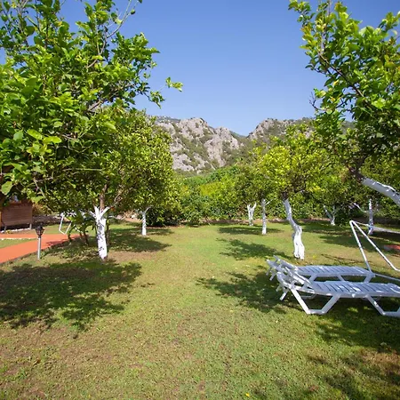 Holiday park Baris & 2*