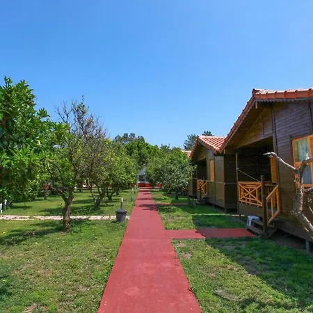 Holiday park Baris & 2*