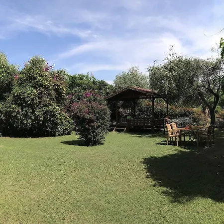 Baris & Holiday park 2*